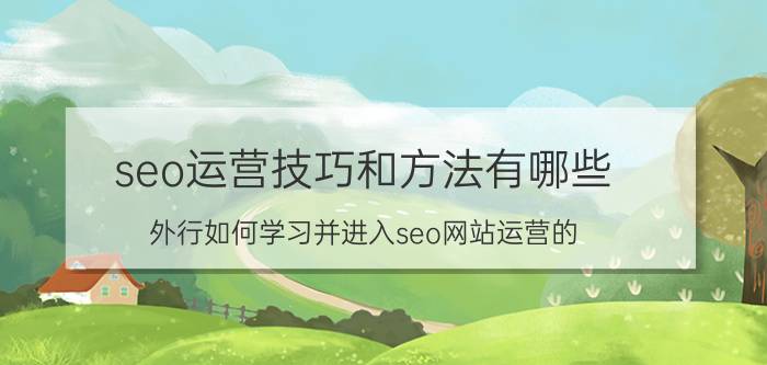 seo运营技巧和方法有哪些 外行如何学习并进入seo网站运营的？